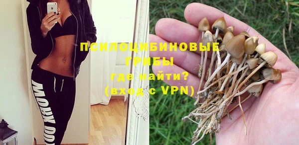 дурь Михайлов