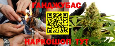 крисы Беслан