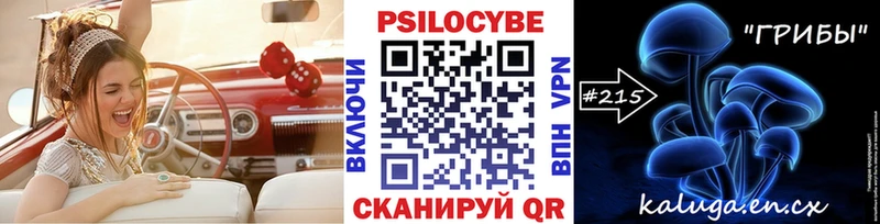 закладка  Минусинск  Галлюциногенные грибы Cubensis 