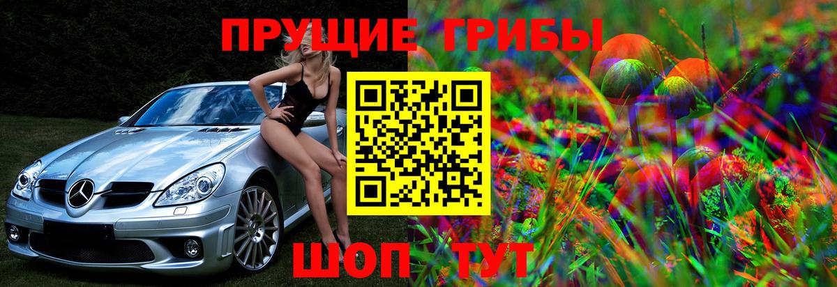 Псилоцибиновые грибы GOLDEN TEACHER  Минусинск 