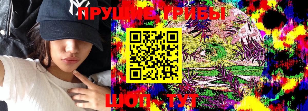 Псилоцибиновые грибы GOLDEN TEACHER  Вход с VPN  Псилоцибиновые грибы MAGIC MUSHROOMS  Минусинск 
